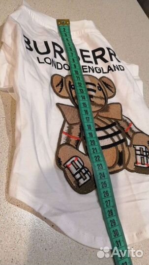 Одежда для собак