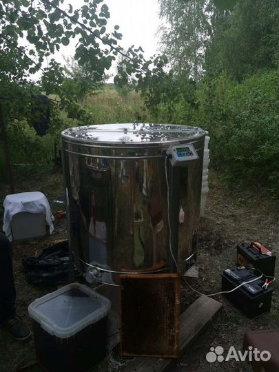 Мёд гречишный 2023