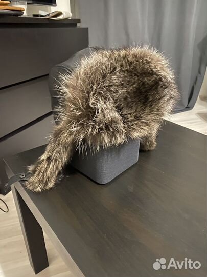 Мужская зимняя шапка