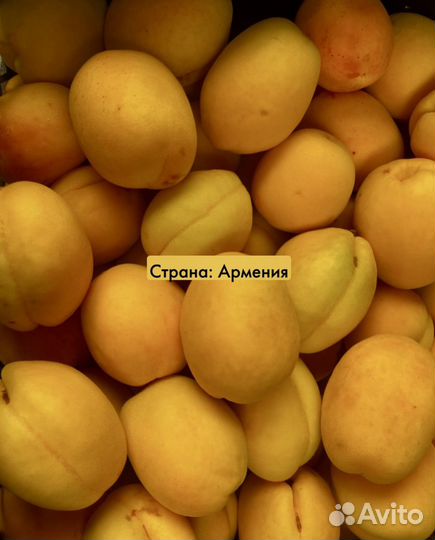 Свежие абрикосы / черешня / нектарин