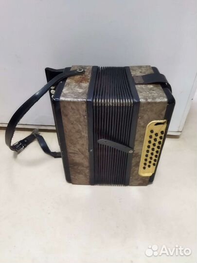 Гармонь СССР