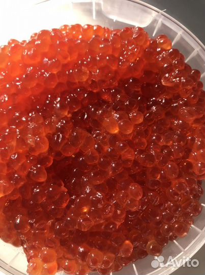 Красная икра кеты опт