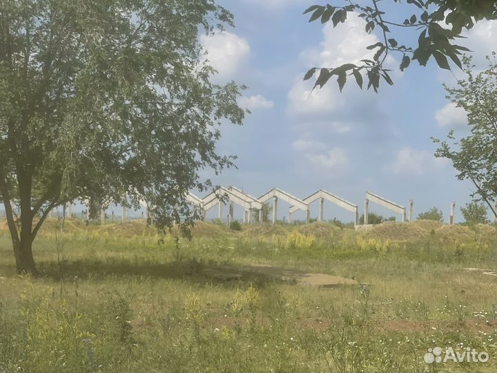 Птицеферма, гусная ферма