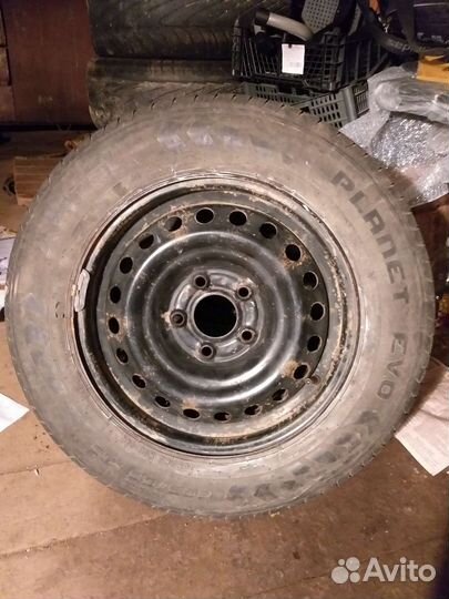 Amtel Planet EVO 205/65 R15