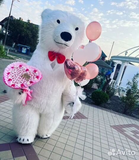 Белый мишка поздравление ростовой