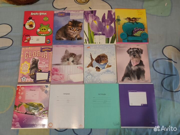 Тетради для школы