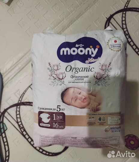 Коляска Mutsy Evo 2 в 1