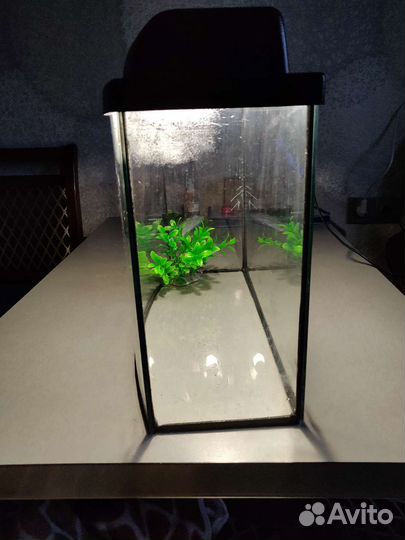 Аквариум