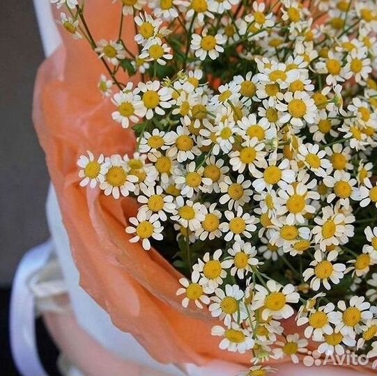 Букеты. Доставка ромашек