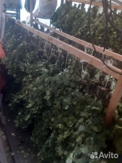 Веники берёза 75р1шт дуб 120-150р1шт