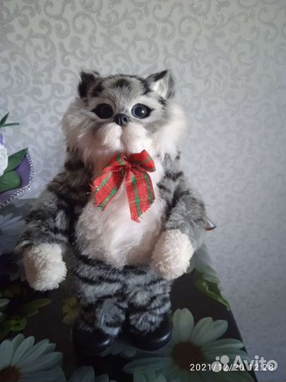Танцующий, поющий котик