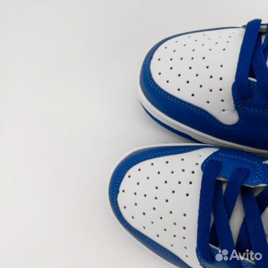 Кроссовки Nlke Данки