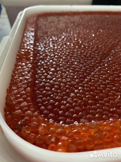 Икра красная оптом