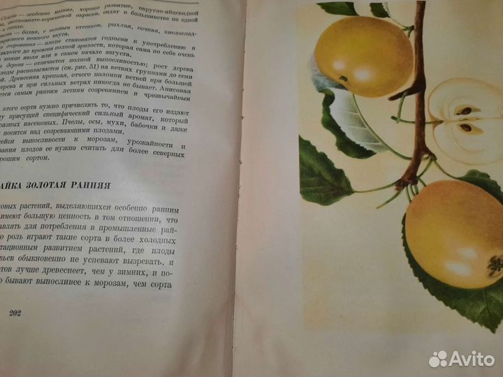 Раритетная книга