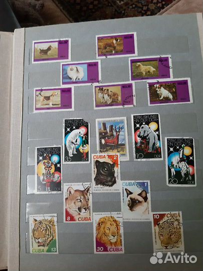 Коллекция почтовых марок