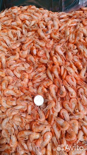 Черноморская и азовская креветка