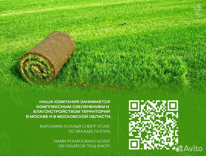 Рулонный газон от производителя