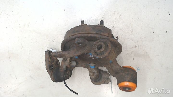 Ступица (кулак, цапфа) Mitsubishi Pajero, 2007