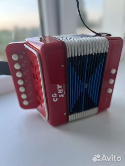 Детский Аккордион /гармошка cb sky