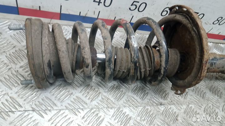 Стойка амортизатора заднего левого Lexus RX300/RX330/RX350/RX400h