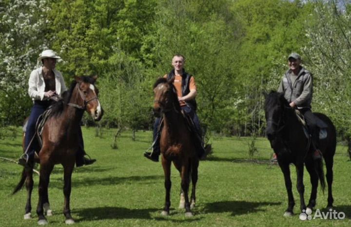 Конные прогулки в горах