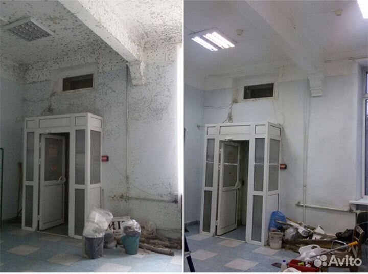 Уборка после смерти, потопа, пожара