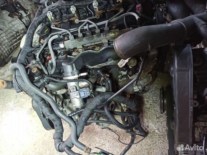 Двигатель Форд Транзит 2.4 115лс, 140лс