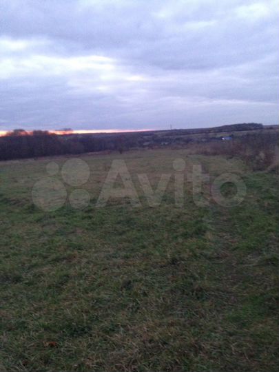 Участок 55 сот. (ИЖС)