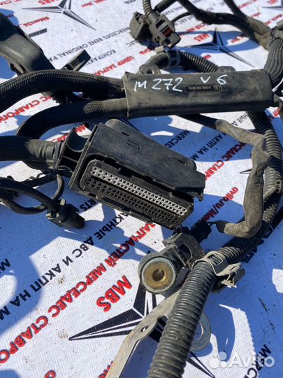 Проводка двигателя W211 M272 Mercedes