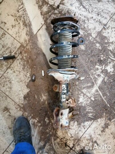 Амортизатор передний правый Geely Emgrand Ec7 FE1