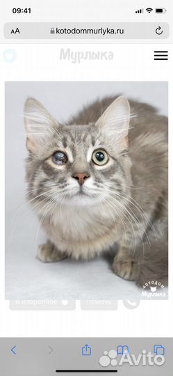 Помогите привезти