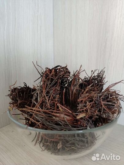 Красная щётка целая и дробленная