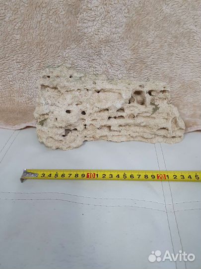 Коряга амфора известняк для аквариума