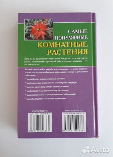 Самые популярные комнатные растения