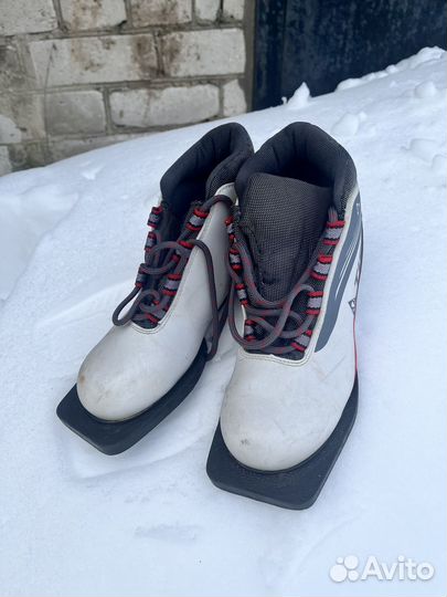 Ботинки для лыж Tisa