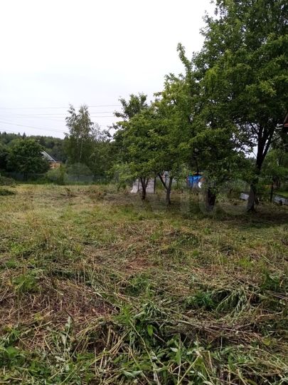 Участок 10,6 сот. (ИЖС)