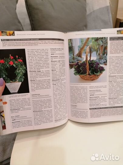 Комнатные растения практическая энциклопедия