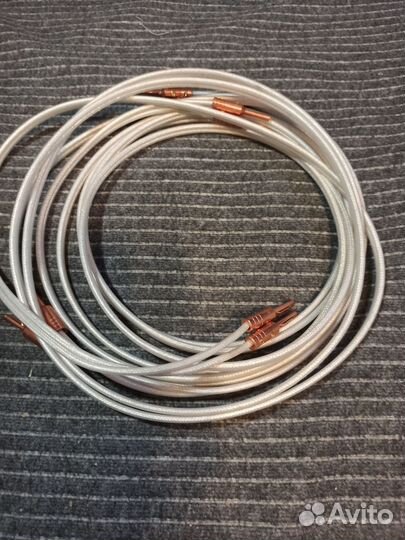 Silver anniversary xt spofc x tube technology