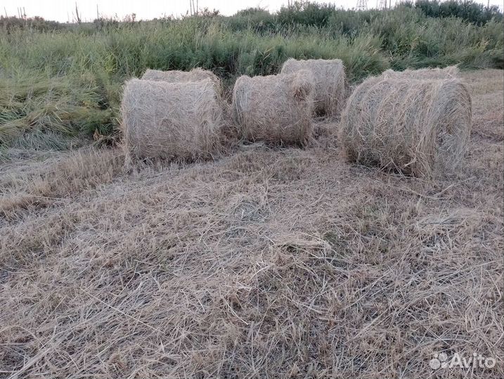 Сено луговое в рулонах