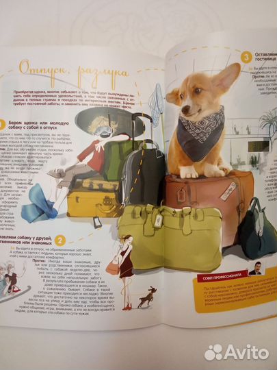 Бесплатно. Ребенку о воспитании собаки