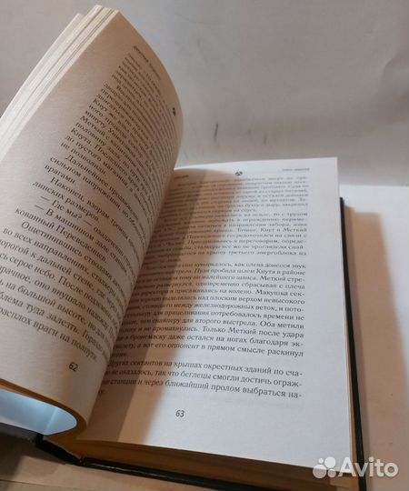 Сталкер от бога. Порог небытия. Луценко Д. Е