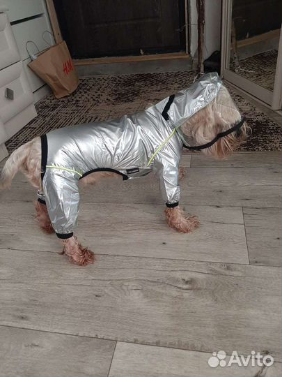 Дождевик для собаки