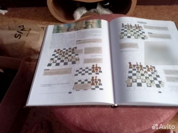 Самоучитель по шахматам