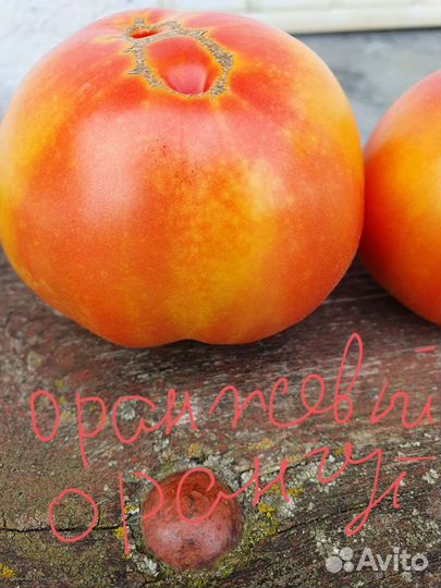 Семена коллекционных томатов