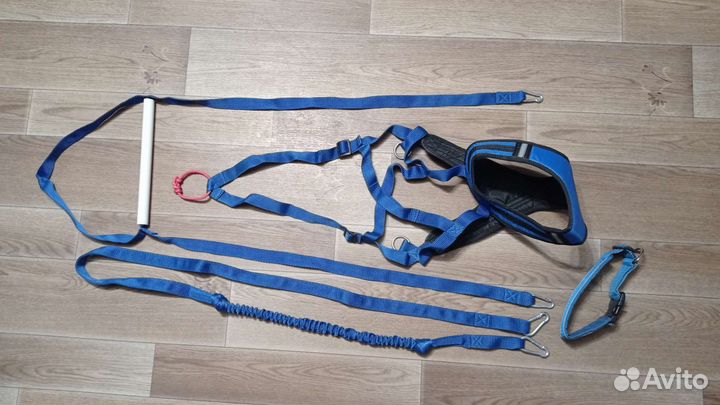 Шлейка для собаки