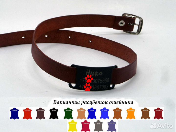 Адресник с ошейником