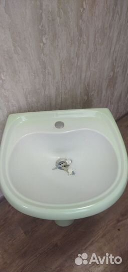 Раковина тюльпан