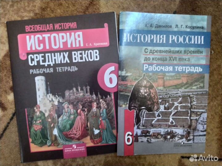 Рабочие тетради 6 класс