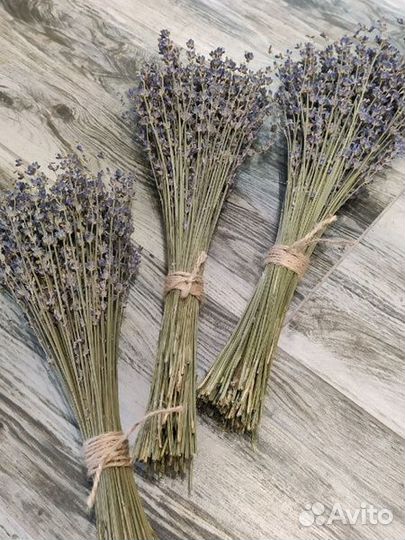 Лекарственные травы: зверобой, татар чай, лаванда