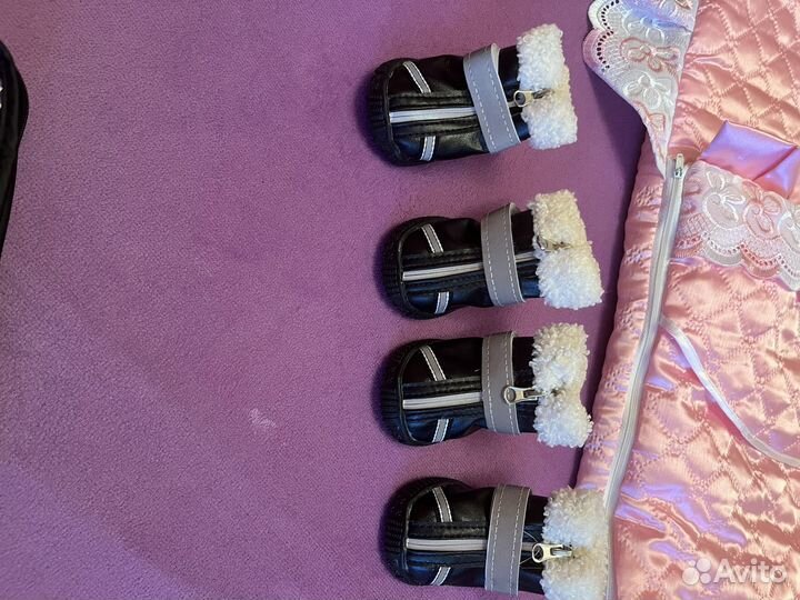 Обувь для собак